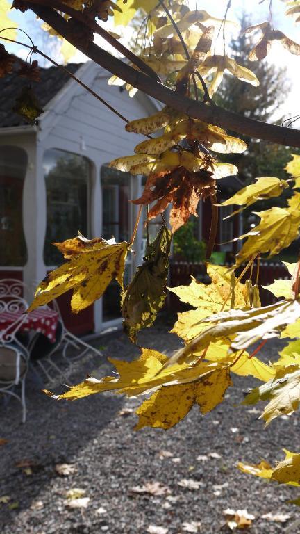 Brostugans Bed & Breakfast Järvsö Extérieur photo